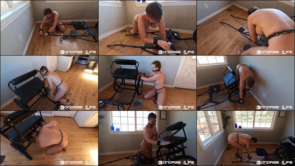 Cleaning The Cart - Rachel Greyhound - 7/17/2023 [HD 720P] 14.05.2024