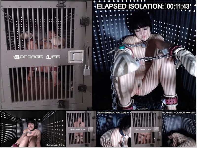 Lita In Isolation (5 Hour) [HD 720P]