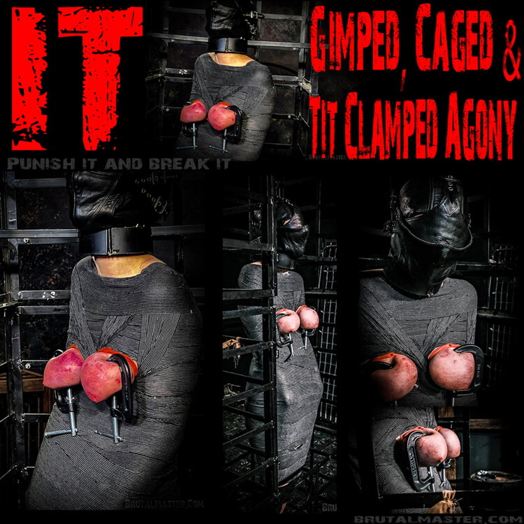 It Gimped Caged and Tit Clamped Agony [FullHD 1080P]