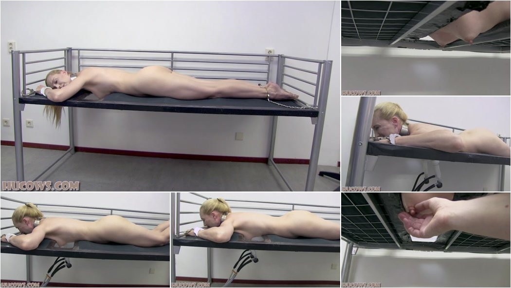 Ariel Anderssen - Goat milker full power [FullHD 1080p]