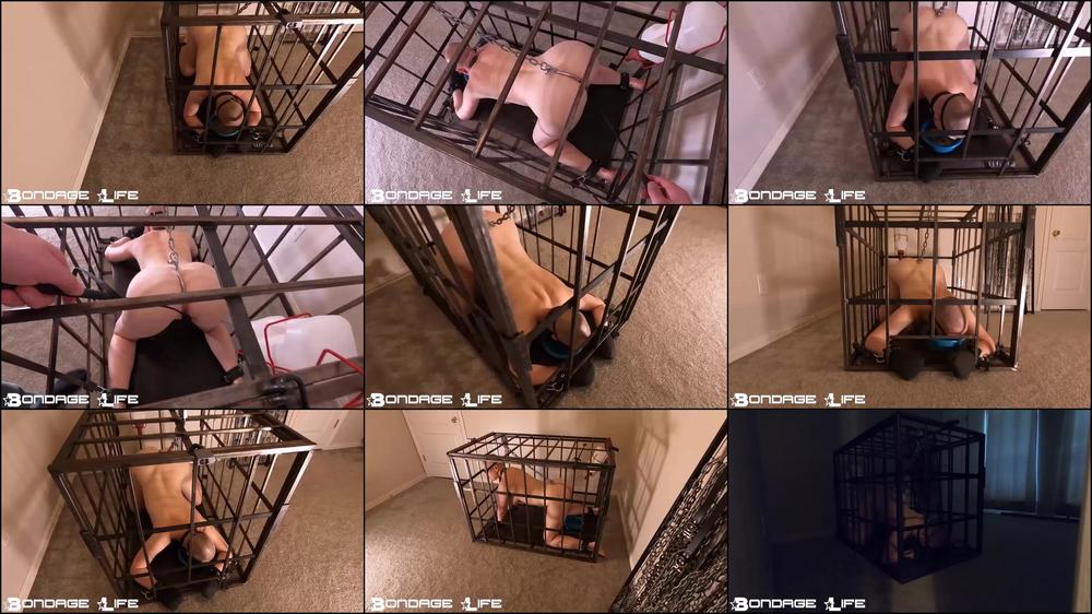 Bondage Life - Puppy Chow - Rachel Greyhound - 2/23/2025 [HD 720P]