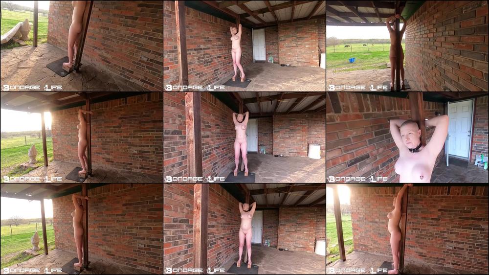 Bondage Life - Watching the Grass Grow - Rachel Greyhound - 4/1/2025 [HD 720P]
