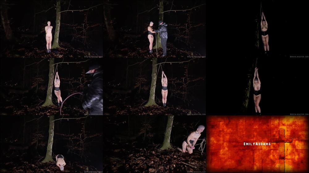 Brutalmaster - EmilyAddams - Into The Woods [FullHD 1080P]