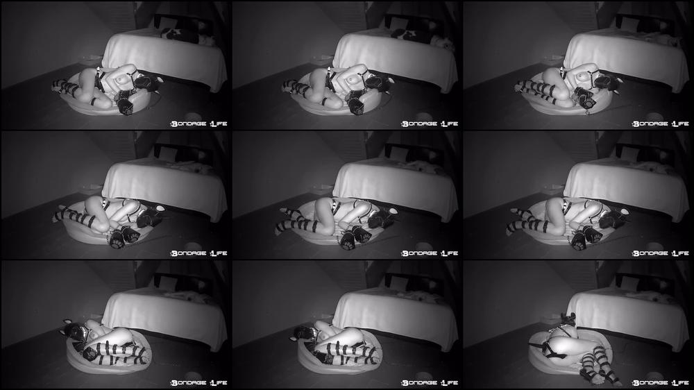 Goodnight Greyhound (Sleepy Puppy Edition) 7/30/2020 [SD 448P]